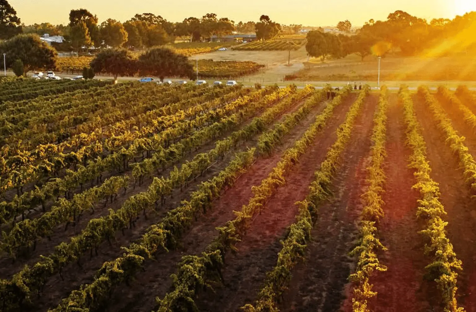 Swan Valley em Perth